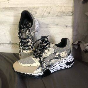 Steve Madden Shoes